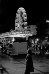 82_8-CalabriaBologna-FP4-@400-2019-Elsa-Reggio-Calabria-Night-1