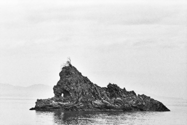 Calabria-Island-Tree-Sculpture-Calabria